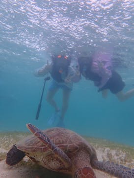 宮古島 ADVENTURE PiPi（ミヤコジマ アドベンチャー ピピ）に投稿された画像（2022/8/7）