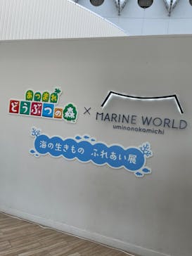 マリンワールド海の中道に投稿された画像（2022/8/7）