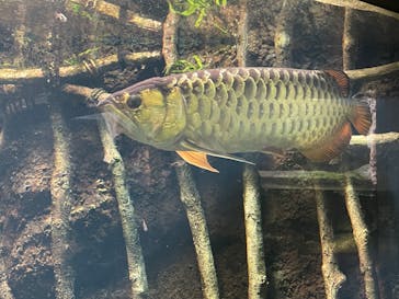 サンシャイン水族館に投稿された画像（2022/8/7）