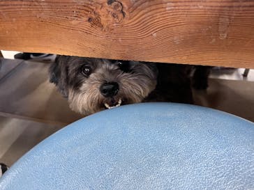 大小屋に投稿された画像（2022/8/7）