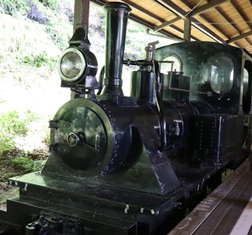 ネオパークオキナワに投稿された画像（2022/8/7）