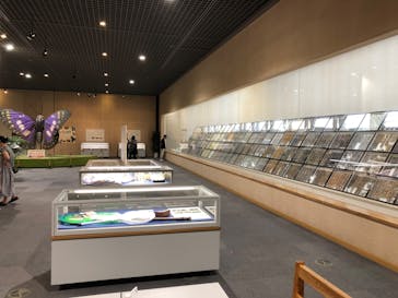 滋賀県立琵琶湖博物館に投稿された画像（2022/8/7）