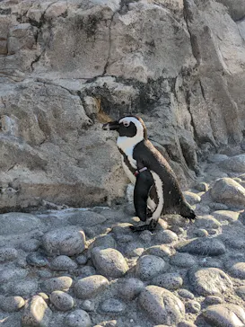 横浜・八景島シーパラダイスに投稿された画像（2022/8/7）