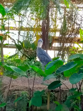 神戸どうぶつ王国に投稿された画像（2022/8/7）