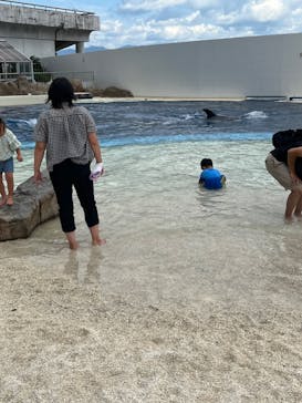 大分マリーンパレス水族館 「うみたまご」に投稿された画像（2022/8/7）