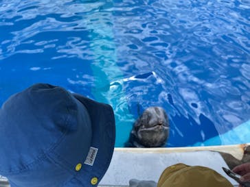 大分マリーンパレス水族館 「うみたまご」に投稿された画像（2022/8/7）