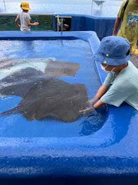 大分マリーンパレス水族館 「うみたまご」に投稿された画像（2022/8/7）