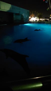 南知多ビーチランド＆南知多おもちゃ王国に投稿された画像（2022/8/7）