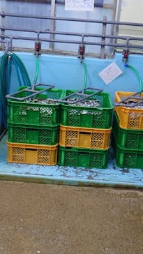 南知多ビーチランド＆南知多おもちゃ王国に投稿された画像（2022/8/7）