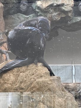 京都水族館に投稿された画像（2022/8/7）