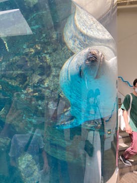 京都水族館に投稿された画像（2022/8/7）