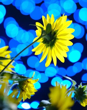 せんだい農業園芸センター　みどりの杜に投稿された画像（2022/8/7）