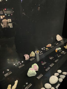 特別展「宝石　地球がうみだすキセキ」（名古屋市科学館　理工館地下２階イベントホール）に投稿された画像（2022/8/7）