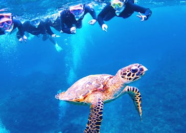 マリンクラブ ベリー 那覇店に投稿された画像（2022/8/7）