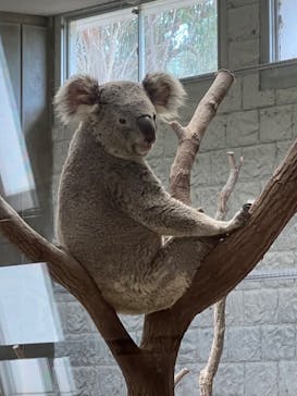淡路ファームパーク イングランドの丘に投稿された画像（2022/8/7）