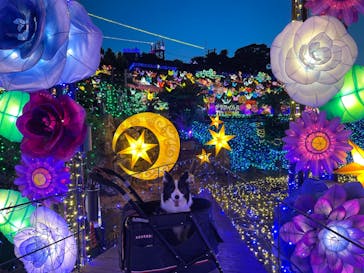 伊豆ぐらんぱる公園に投稿された画像（2022/8/7）