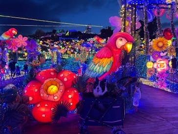 伊豆ぐらんぱる公園に投稿された画像（2022/8/7）