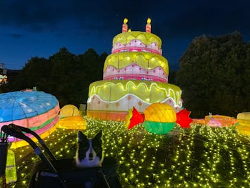 伊豆ぐらんぱる公園に投稿された画像（2022/8/7）