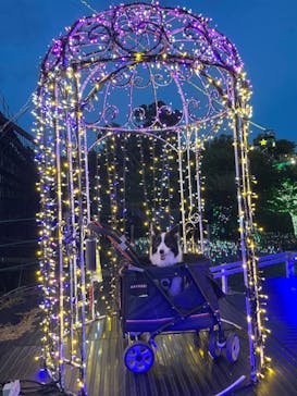 伊豆ぐらんぱる公園に投稿された画像（2022/8/7）