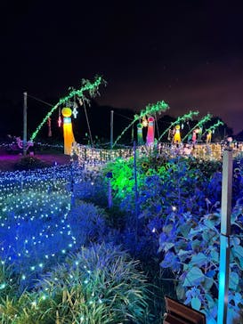 せんだい農業園芸センター　みどりの杜に投稿された画像（2022/8/7）