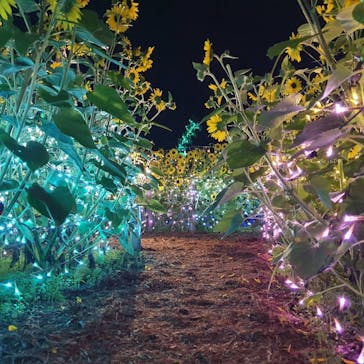 せんだい農業園芸センター　みどりの杜に投稿された画像（2022/8/7）