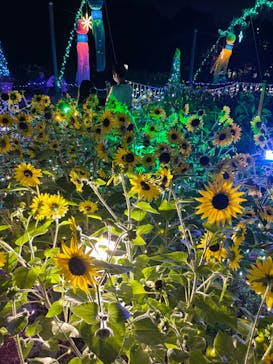 せんだい農業園芸センター　みどりの杜に投稿された画像（2022/8/7）