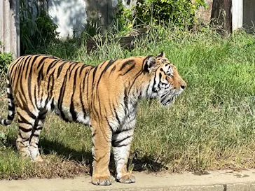 天王寺動物園に投稿された画像（2022/8/7）