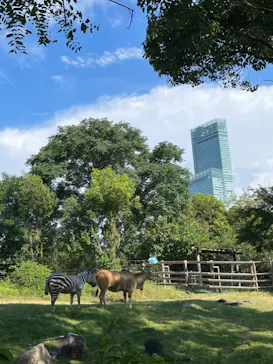 天王寺動物園に投稿された画像（2022/8/7）