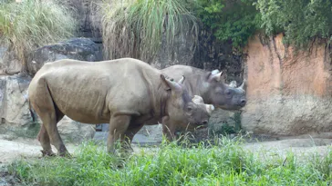 天王寺動物園に投稿された画像（2022/8/7）