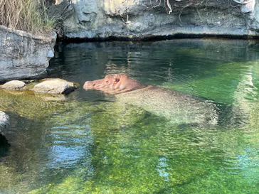 天王寺動物園に投稿された画像（2022/8/7）