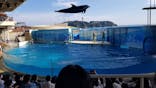 新江ノ島水族館に投稿された画像（2022/8/7）