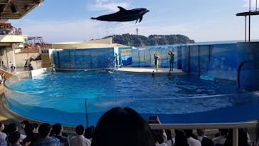 新江ノ島水族館に投稿された画像（2022/8/7）