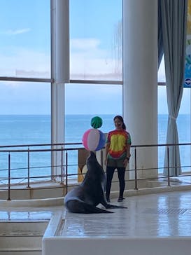 アクアワールド茨城県大洗水族館に投稿された画像（2022/8/7）