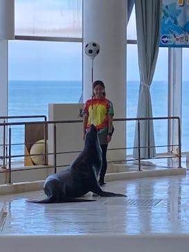 アクアワールド茨城県大洗水族館に投稿された画像（2022/8/7）