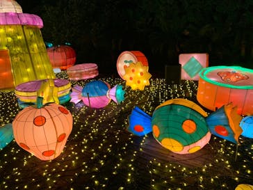 伊豆ぐらんぱる公園に投稿された画像（2022/8/7）