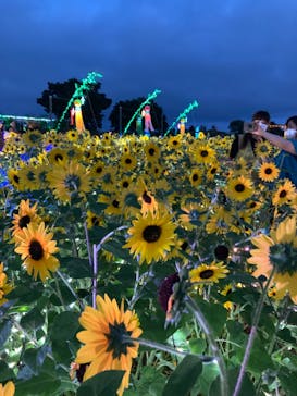 せんだい農業園芸センター　みどりの杜に投稿された画像（2022/8/7）