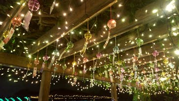 せんだい農業園芸センター　みどりの杜に投稿された画像（2022/8/7）