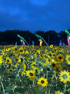 せんだい農業園芸センター　みどりの杜に投稿された画像（2022/8/7）