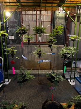 江戸東京たてもの園に投稿された画像（2022/8/7）