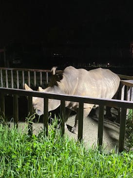 那須サファリパークに投稿された画像（2022/8/7）