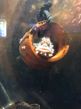 横浜・八景島シーパラダイスに投稿された画像（2022/8/7）