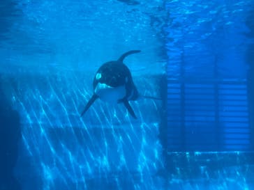 名古屋港水族館に投稿された画像（2022/8/7）