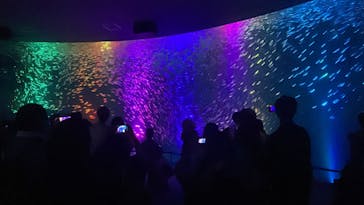 名古屋港水族館に投稿された画像（2022/8/7）