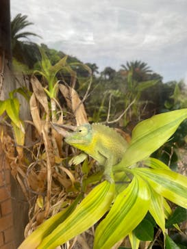 体感型動物園iZooに投稿された画像（2022/8/7）