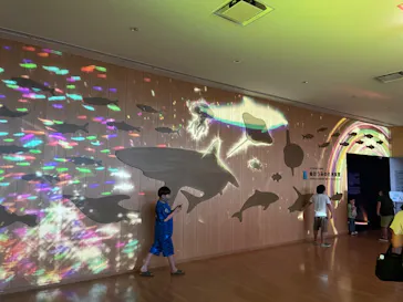 仙台うみの杜水族館に投稿された画像（2022/8/7）