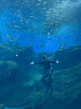 仙台うみの杜水族館に投稿された画像（2022/8/7）