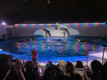 仙台うみの杜水族館に投稿された画像（2022/8/7）