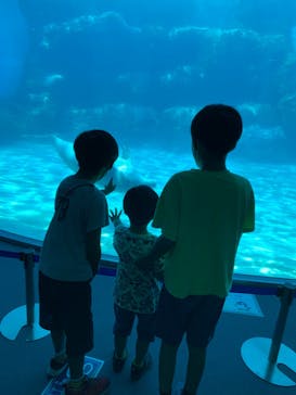 名古屋港水族館に投稿された画像（2022/8/7）