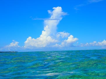 西表島 ADVENTURE PiPi（アドベンチャーピピ）に投稿された画像（2022/8/7）