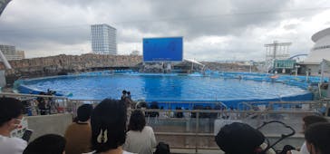 名古屋港水族館に投稿された画像（2022/8/8）